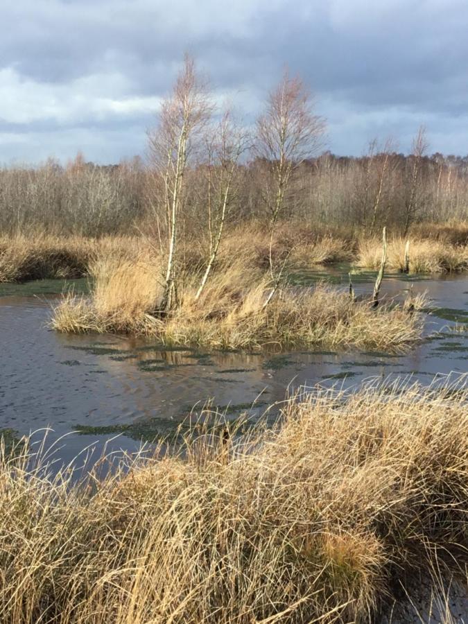 Kranich-Holzferienhaus 'Kleine Auszeit' Rehden Kültér fotó