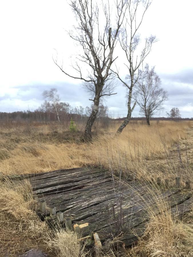 Kranich-Holzferienhaus 'Kleine Auszeit' Rehden Kültér fotó