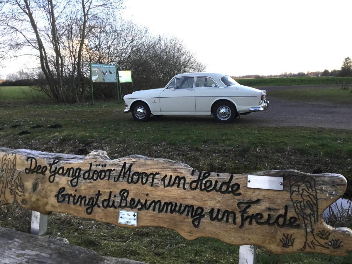 Kranich-Holzferienhaus 'Kleine Auszeit' Rehden Kültér fotó
